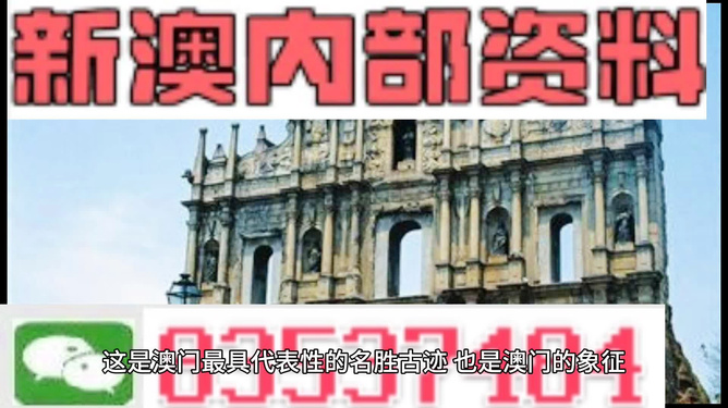 新澳门正版免费资料怎么查，精准预测结果，精选资料解释大全